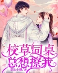 校草同桌总想撩我 小说