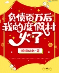 负债上百万