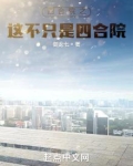 四合院是什么样子的图片
