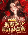 军少别乱来笔趣阁