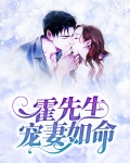 霍先生宠妻无度 小说