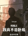 柯南之我真不是卧底
