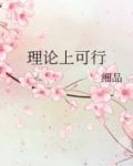 理论可行性