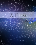 天下一双