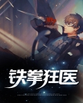小说铁拳