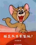 猫鼠队不削能玩？