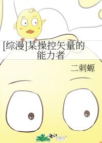 矢量操控的小说