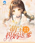 独宠臻宝拐个萌娃养成妃