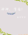 祁神，幸会！