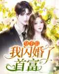 分手后我闪婚了首富白澜城颜书