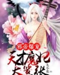 邪帝狂妻天才召唤师