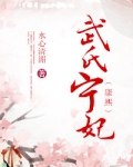 武氏宁妃（康熙）
