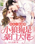 夫人,捡来的小狼狗是豪门大佬