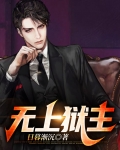 无上灵主小说