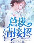 甜妻来袭:总裁,请接招