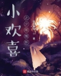小欢喜之少年情怀