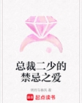 总裁二少的禁忌之爱
