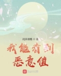 我能看到恶意值 小说