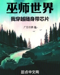 主角穿越到巫师世界的小说
