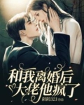 和我离婚后大佬他疯了