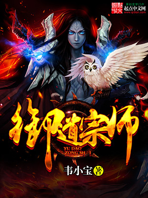 御道宗师 小说