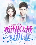 双宝小说