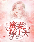 蜜妻作者时慕