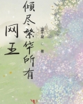 网王倾尽繁华所有歌曲名字