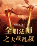 全职法师 小说
