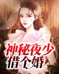 神秘夜少结婚嘛免费阅读
