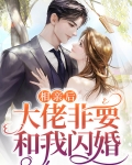 相亲后结婚小说