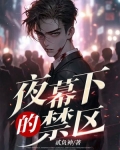电视剧夜幕下的