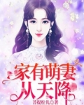 家有萌妻从天降