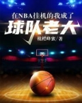 在nba挂机的我成了球队老大txt
