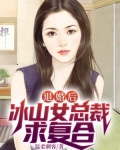 开局退婚冰山总裁