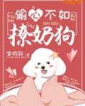 偷心不如撩奶狗