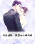 染指成婚：教授老公难伺候