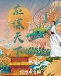 三国之应谋天下 小说