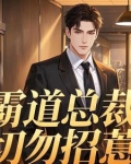 霸道总裁勿靠近小说