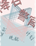 降谷警官的组织洗脑计划作者:有粒子