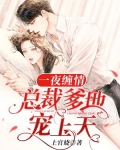 一夜缠情:总裁爹地宠上天