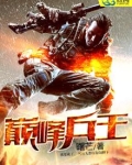 巅峰兵王小说免费阅读
