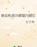 被迫和清冷御姐闪婚后 作者:公子欢