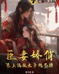 臣妻男主