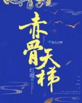 赤骨天梯TXT百度云