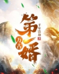 万古第一婿全文免费阅读小说