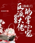 穿书后我成了反派大佬的娇妻免费阅读全文