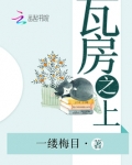 瓦房之上