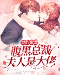 契约蜜恋,腹黑总裁夫人是大佬 六宝