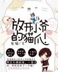 放开小爷的猫爪小说